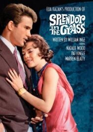 Постер к фильму Великолепие в траве смотреть онлайн на HD Rezka