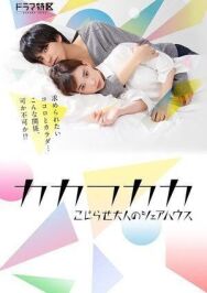 Постер к фильму Дом для взрослых смотреть онлайн на HD Rezka