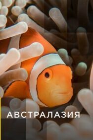Постер к фильму Австралазия смотреть онлайн на HD Rezka