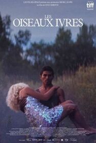 Постер к фильму Пьяные пташки смотреть онлайн на HD Rezka