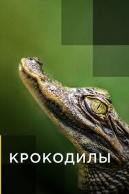 Постер к фильму Крокодилы смотреть онлайн на HD Rezka