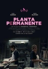 Постер к фильму Столовая смотреть онлайн на HD Rezka