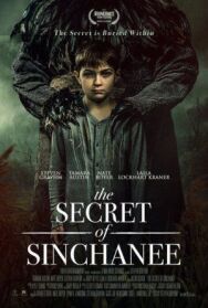 Постер к фильму Тайна Синчани смотреть онлайн на HD Rezka
