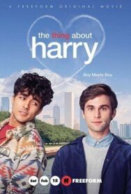 Постер к фильму Кое-что о Гарри смотреть онлайн на HD Rezka