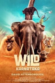 Постер к фильму Дикая Карнатака смотреть онлайн на HD Rezka