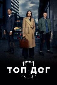 Постер к фильму Топ дог смотреть онлайн на HD Rezka