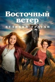 Постер к фильму Восточный ветер. Великий ураган смотреть онлайн на HD Rezka