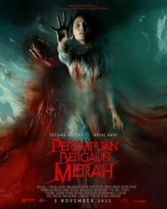 Постер к фильму Красное платье смотреть онлайн на HD Rezka
