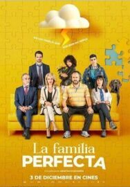 Постер к фильму Идеальная семья смотреть онлайн на HD Rezka