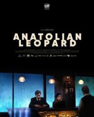 Постер к фильму Анатолийский леопард смотреть онлайн на HD Rezka