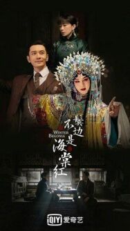 Постер к фильму Зимняя бегония смотреть онлайн на HD Rezka