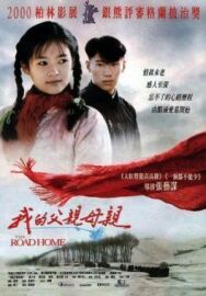 Постер к фильму Дорога домой смотреть онлайн на HD Rezka
