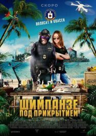 Постер к фильму Шимпанзе под прикрытием смотреть онлайн на HD Rezka