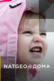 Постер к фильму NatGeo@Дома смотреть онлайн на HD Rezka