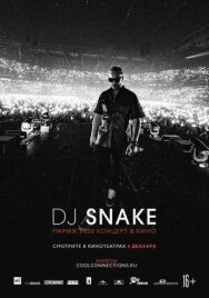 Постер к фильму DJ SNAKE: Париж 2020. Концерт в кино смотреть онлайн на HD Rezka