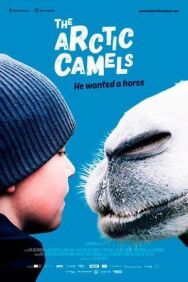 Постер к фильму Мой друг северный верблюд смотреть онлайн на HD Rezka