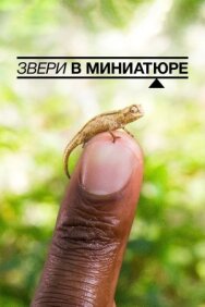 Постер к фильму Звери в миниатюре смотреть онлайн на HD Rezka
