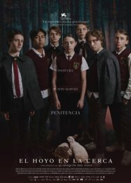 Постер к фильму Дыра в заборе смотреть онлайн на HD Rezka