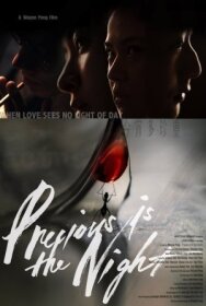 Постер к фильму Драгоценная ночь смотреть онлайн на HD Rezka