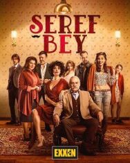 Постер к фильму Уважаемый господин смотреть онлайн на HD Rezka