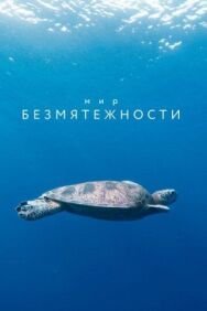 Постер к фильму Мир безмятежности смотреть онлайн на HD Rezka