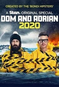 Постер к фильму Дом и Эдриан: 2020 смотреть онлайн на HD Rezka