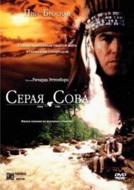 Постер к фильму Серая сова смотреть онлайн на HD Rezka