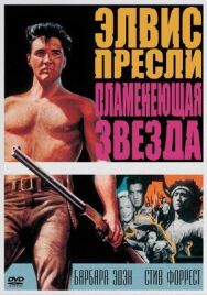 Постер к фильму Пламенеющая звезда смотреть онлайн на HD Rezka