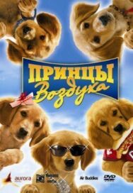 Постер к фильму Принцы воздуха смотреть онлайн на HD Rezka
