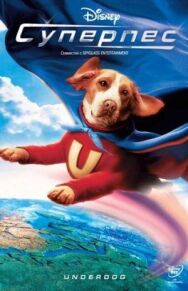 Постер к фильму Суперпес смотреть онлайн на HD Rezka