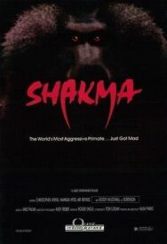Постер к фильму Шакма смотреть онлайн на HD Rezka