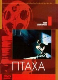 Постер к фильму Птаха смотреть онлайн на HD Rezka