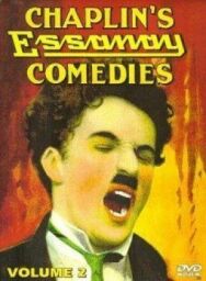 Постер к фильму Бродяга смотреть онлайн на HD Rezka