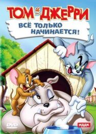 Постер к фильму Кот играет в боулинг смотреть онлайн на HD Rezka