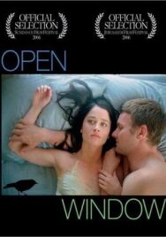 Постер к фильму Открытое окно смотреть онлайн на HD Rezka