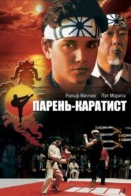 Постер к фильму Парень-каратист смотреть онлайн на HD Rezka