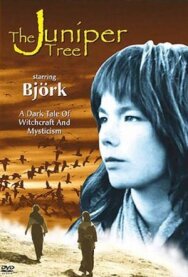 Постер к фильму Можжевеловое дерево смотреть онлайн на HD Rezka