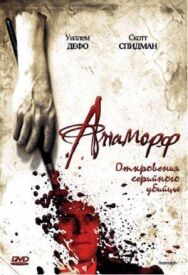Постер к фильму Анаморф смотреть онлайн на HD Rezka