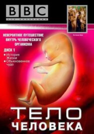 Постер к фильму BBC: Тело человека смотреть онлайн на HD Rezka
