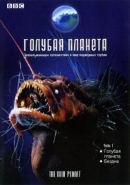 Постер к фильму BBC: Голубая планета смотреть онлайн на HD Rezka