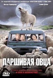 Постер к фильму Паршивая овца смотреть онлайн на HD Rezka