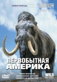 Постер к фильму BBC: Первобытная Америка смотреть онлайн на HD Rezka