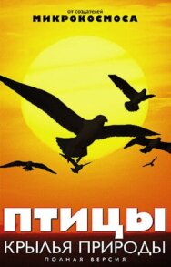 Постер к фильму Птицы: Крылья природы смотреть онлайн на HD Rezka