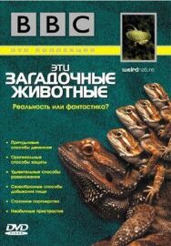 Постер к фильму BBC: Эти загадочные животные смотреть онлайн на HD Rezka