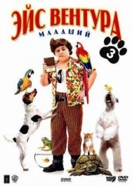 Постер к фильму Эйс Вентура младший смотреть онлайн на HD Rezka