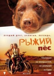 Постер к фильму Рыжий пес смотреть онлайн на HD Rezka