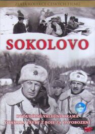 Постер к фильму Соколово смотреть онлайн на HD Rezka