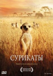 Постер к фильму Сурикаты смотреть онлайн на HD Rezka