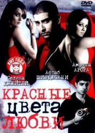 Постер к фильму Красные цвета любви смотреть онлайн на HD Rezka