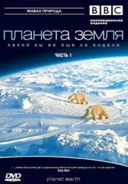 Постер к фильму Планета Земля 2 смотреть онлайн на HD Rezka